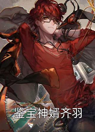 鉴宝神婿齐羽